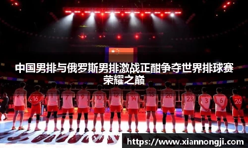 bsports登录入口