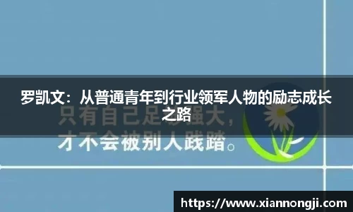 bsports登录入口