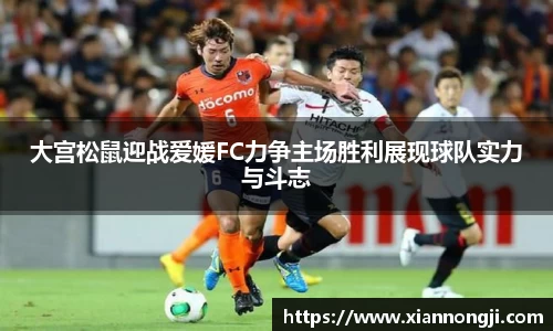 Bsports网页版