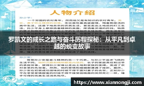 bsports登录入口
