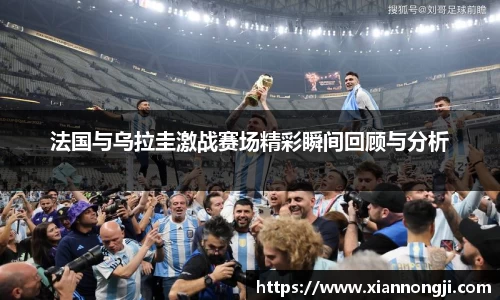 bsports登录入口