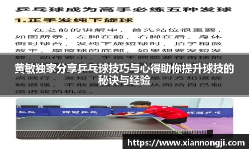 bsports官网入口