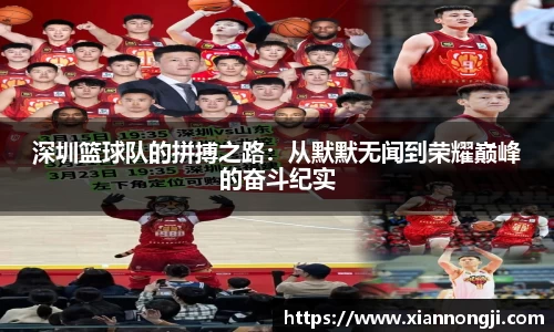 bsports官网入口