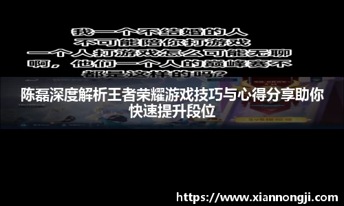 陈磊深度解析王者荣耀游戏技巧与心得分享助你快速提升段位