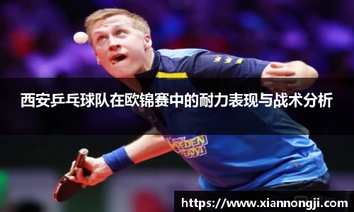 bsports官网入口