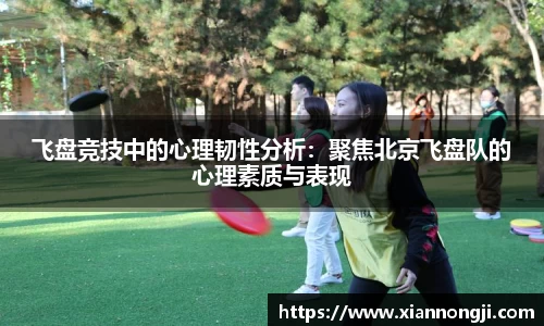 Bsports网页版