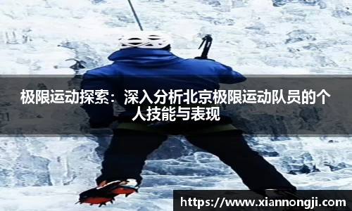 bsports登录入口